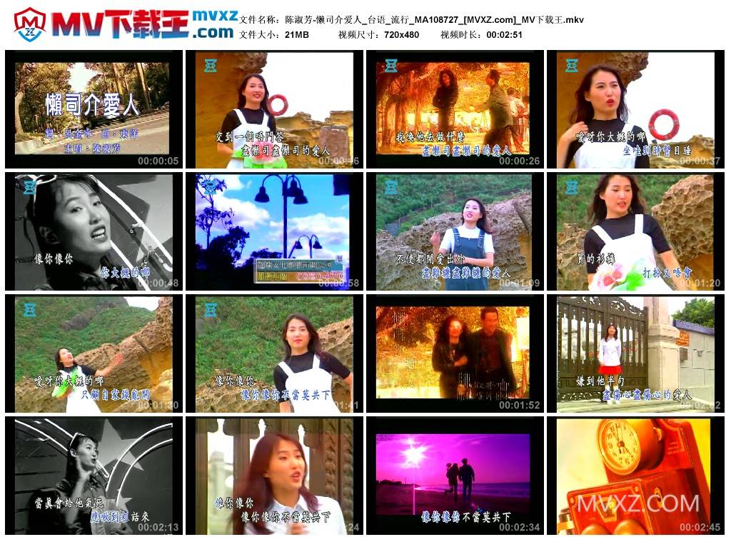 陈淑芳-懒司介爱人_台语_流行_MA108727